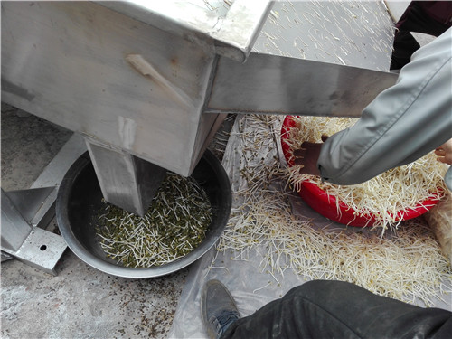 豆芽篩分機(jī)